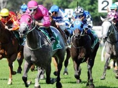 Coolmore Classic Preview