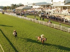 Darley Crown Stakes preview