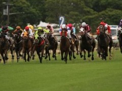 Queen Elizabeth Stakes preview