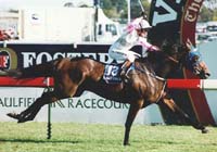 Turf Heroes: Might And Power
