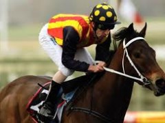 Melbourne Cup Preview