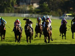 July 23 Racing Selections and Midyear Report Card