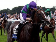Will Mount Athos’ Melbourne Cup Odds Improve?
